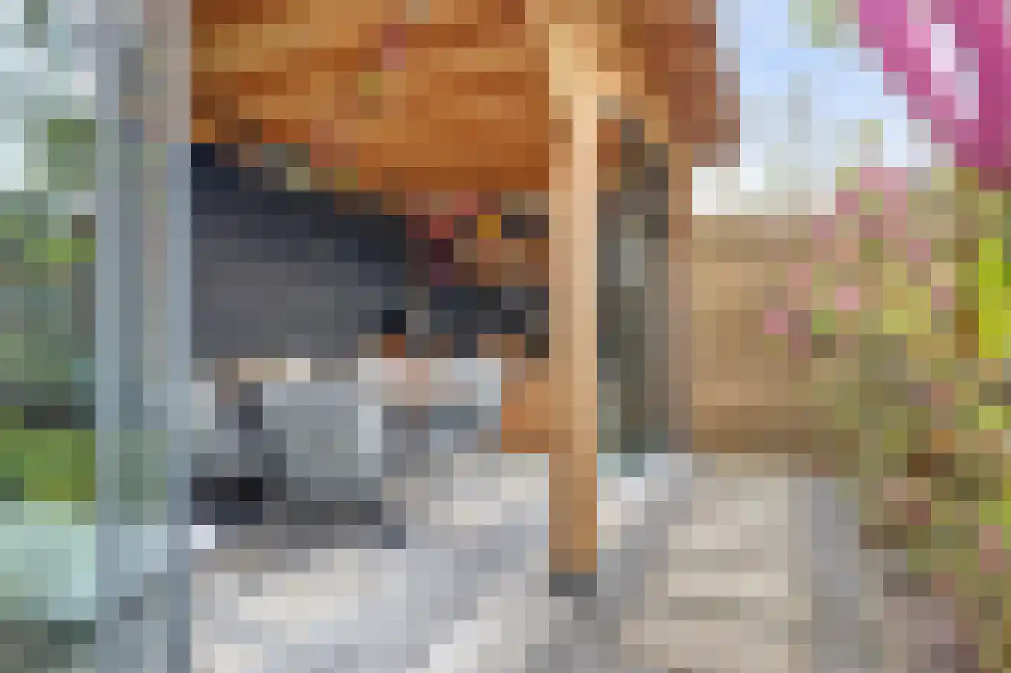 Amandelgaard 3 De Goorn thumbnail 58