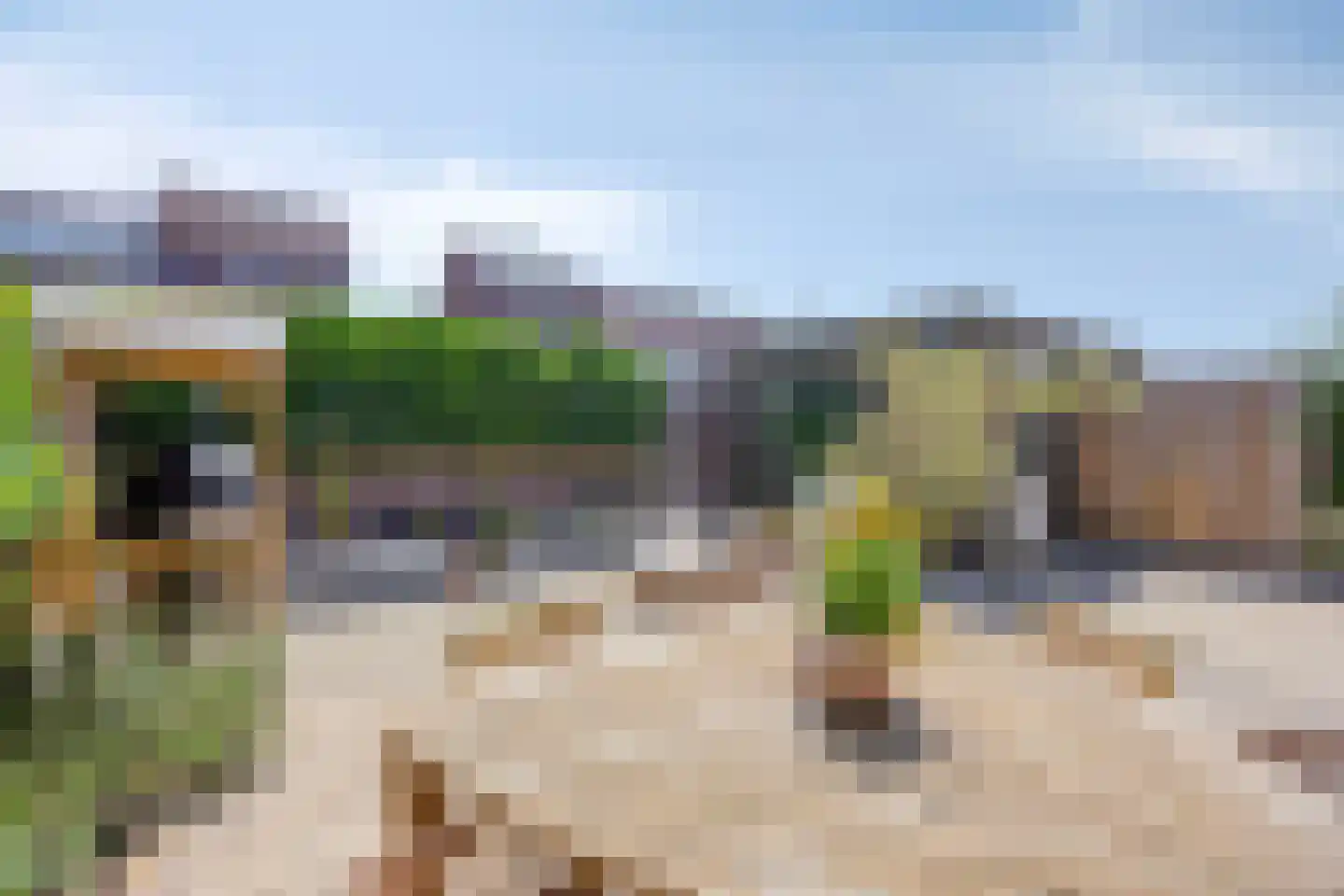 Amandelgaarde 133 Hendrik-Ido-Ambacht thumbnail 33