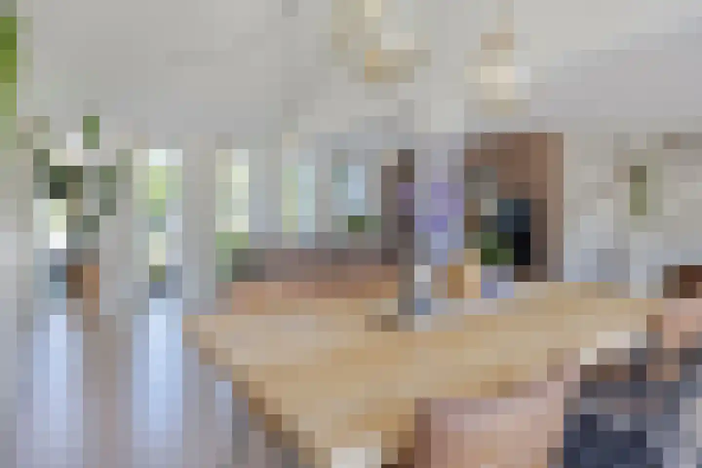 Amandelgaarde 133 Hendrik-Ido-Ambacht thumbnail 9