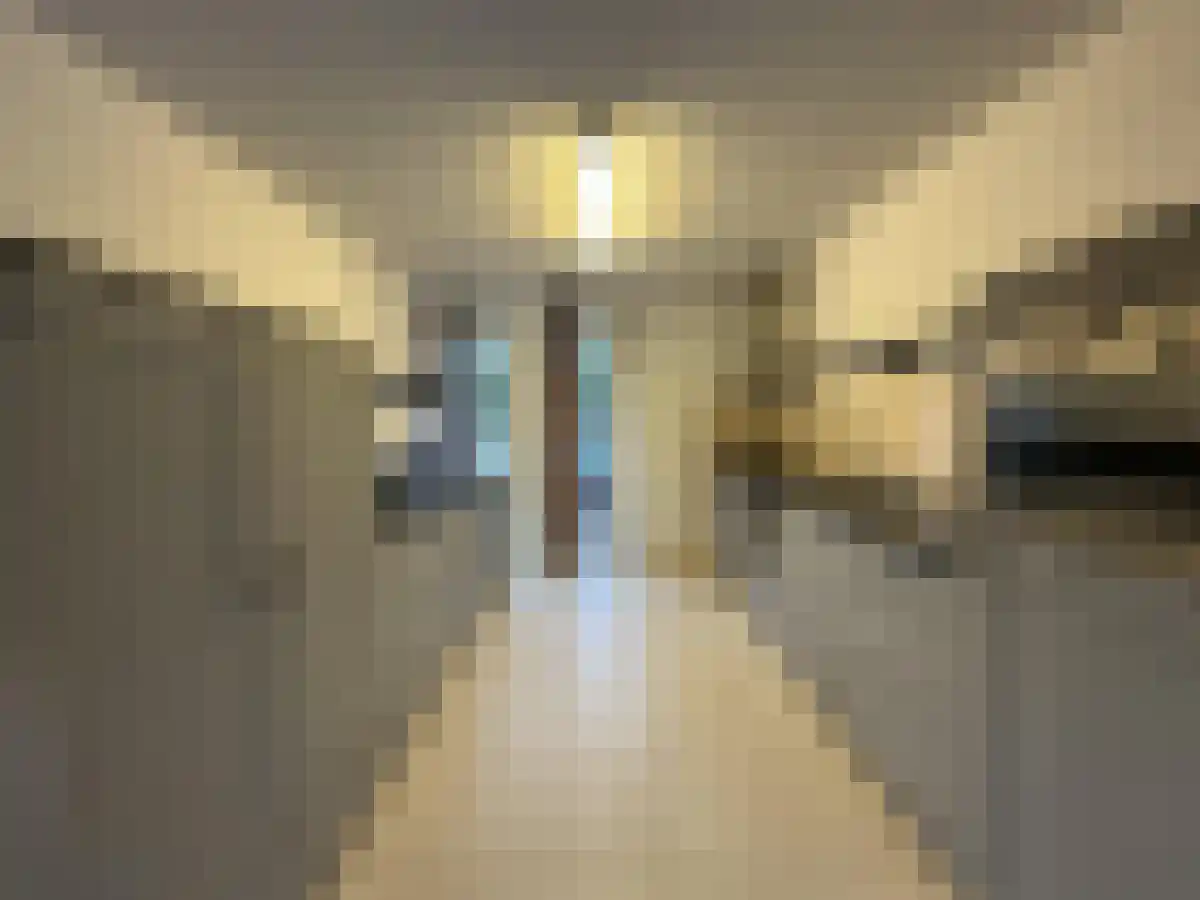 Amandelgaarde 49 Hendrik-Ido-Ambacht thumbnail 5