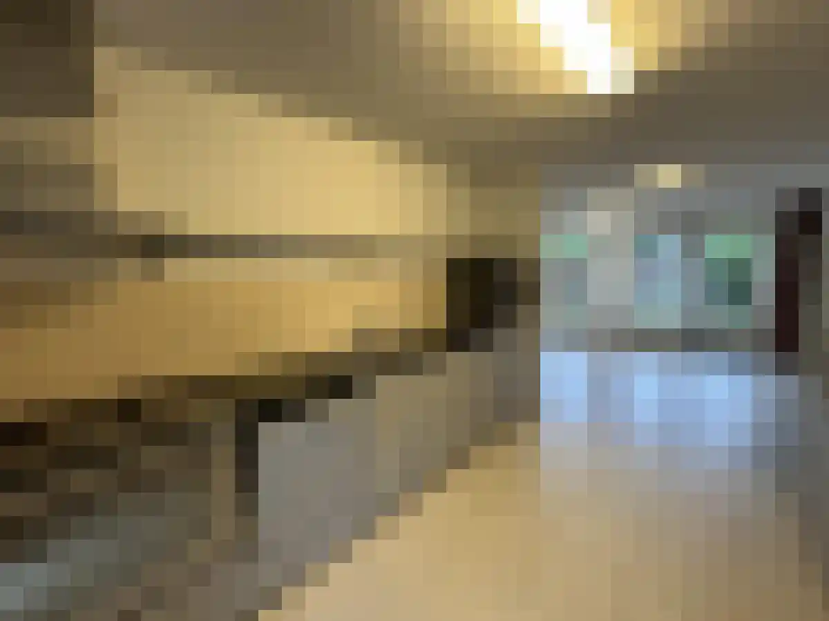 Amandelgaarde 49 Hendrik-Ido-Ambacht thumbnail 6