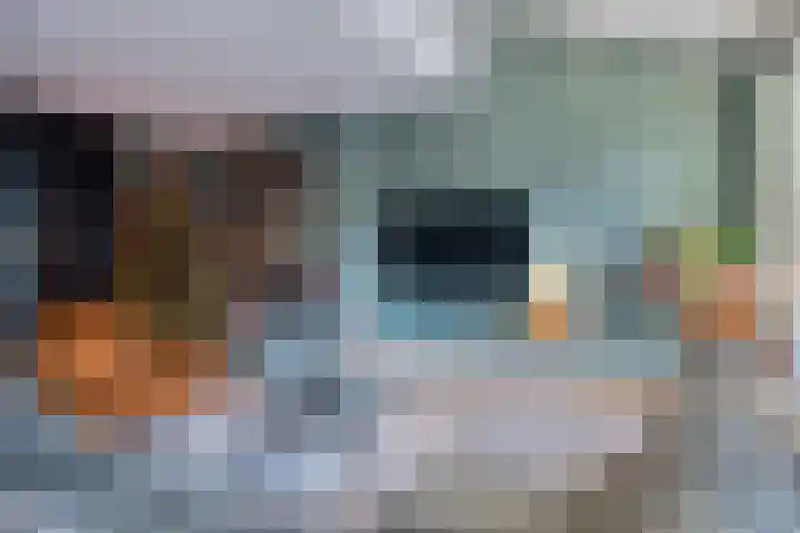 Amandelgaarde 93 Hendrik-Ido-Ambacht thumbnail 13