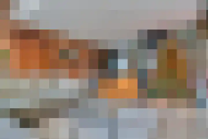 Amandelgaarde 93 Hendrik-Ido-Ambacht thumbnail 14