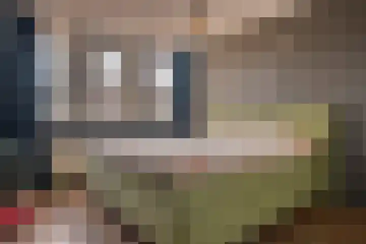 Amandelgaarde 93 Hendrik-Ido-Ambacht thumbnail 24