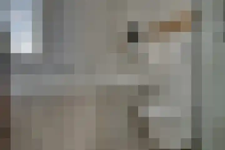 Amandelgaarde 93 Hendrik-Ido-Ambacht thumbnail 31
