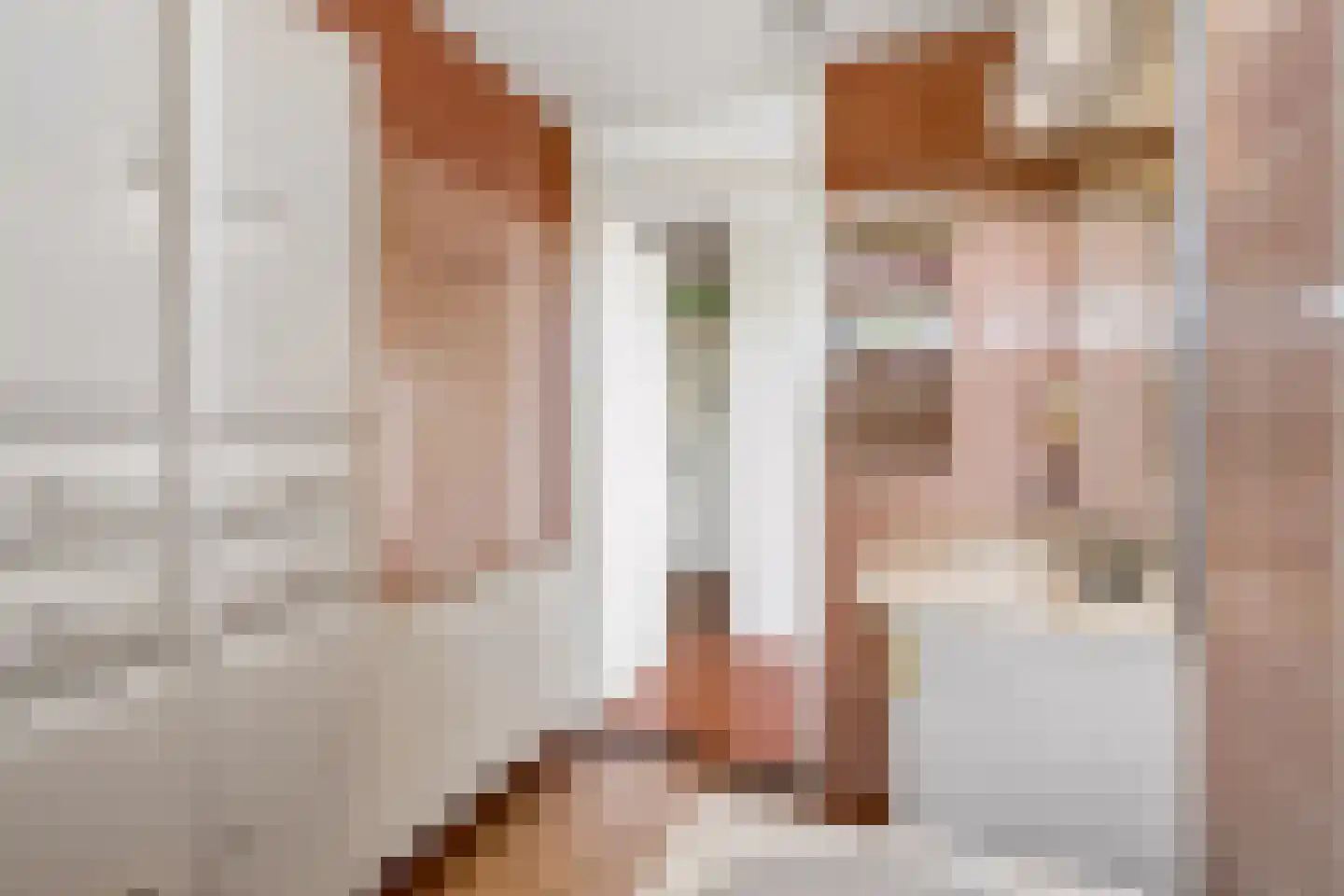 Amandelhof 7 Almere thumbnail 20