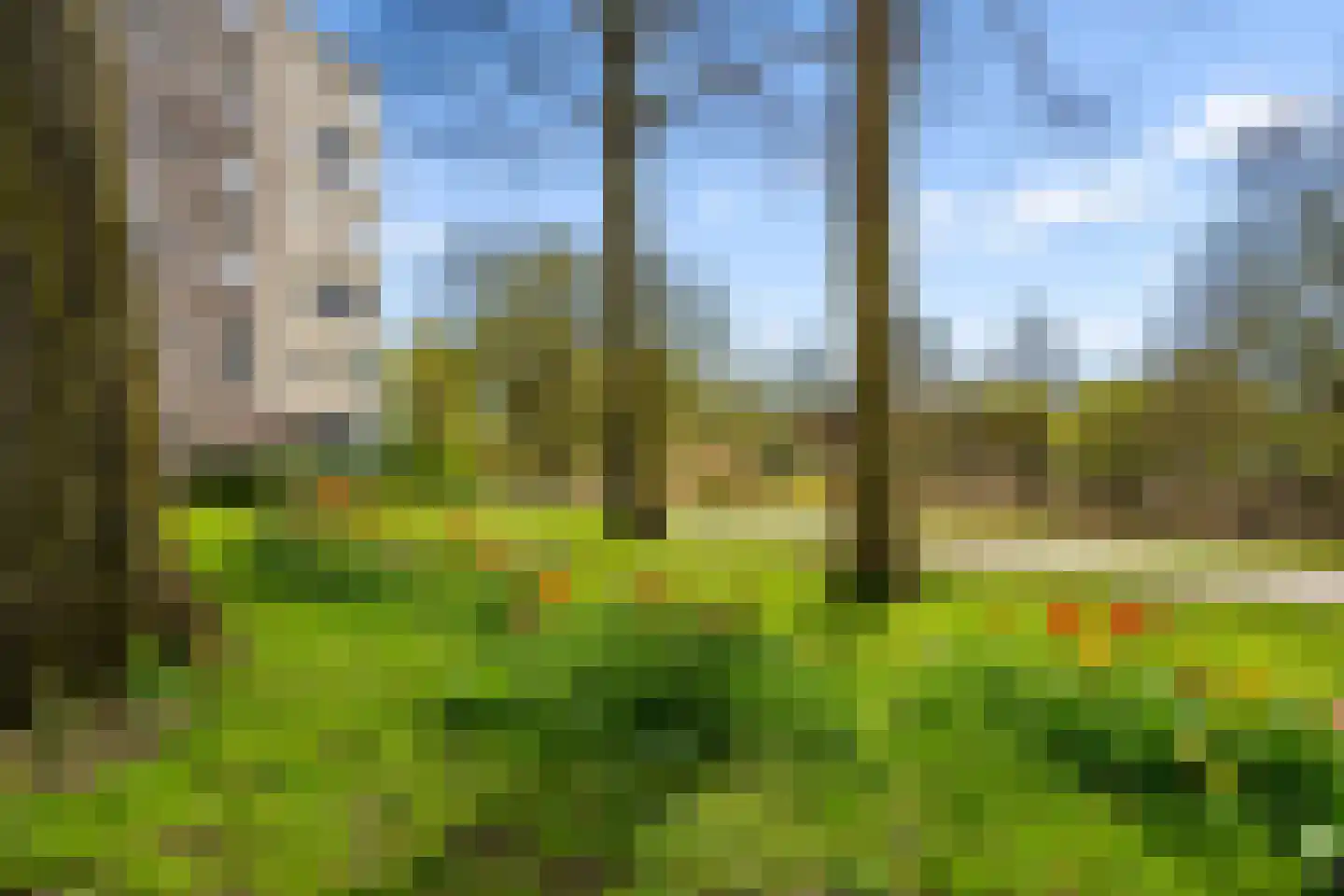 Amandelhof 7 Almere thumbnail 30