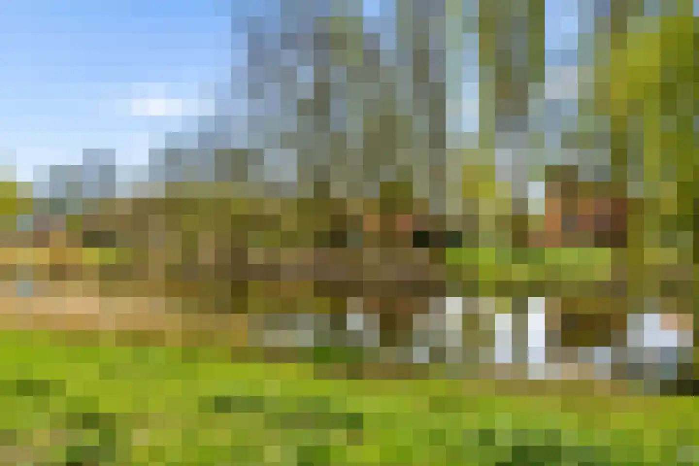 Amandelhof 7 Almere thumbnail 32