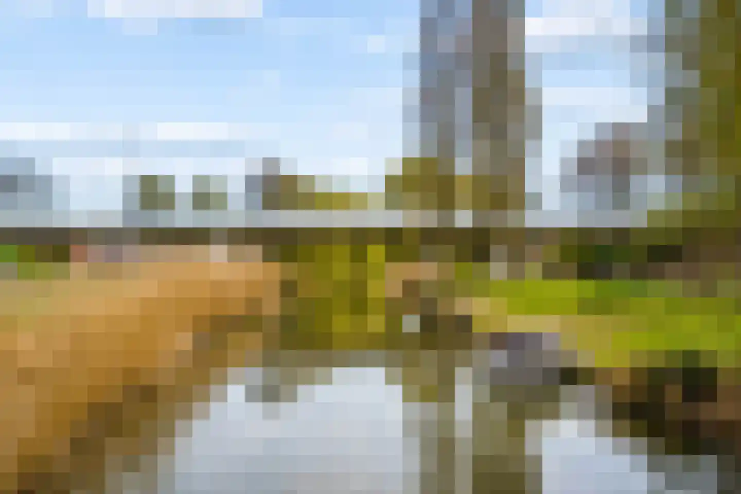 Amandelhof 7 Almere thumbnail 34