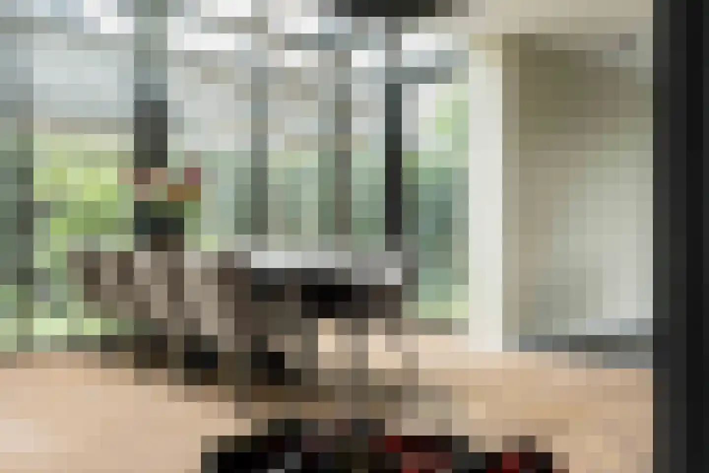 Amandellint 20 Limmen thumbnail 10