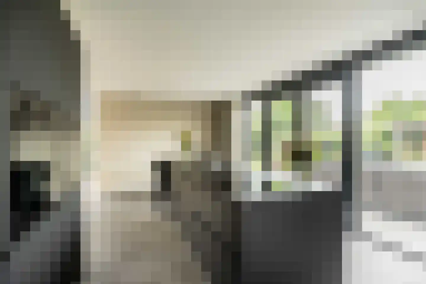 Amandellint 20 Limmen thumbnail 13