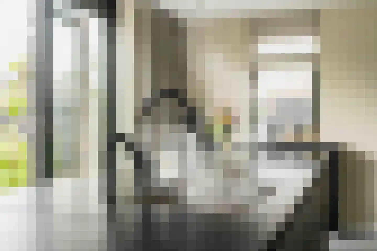 Amandellint 20 Limmen thumbnail 15