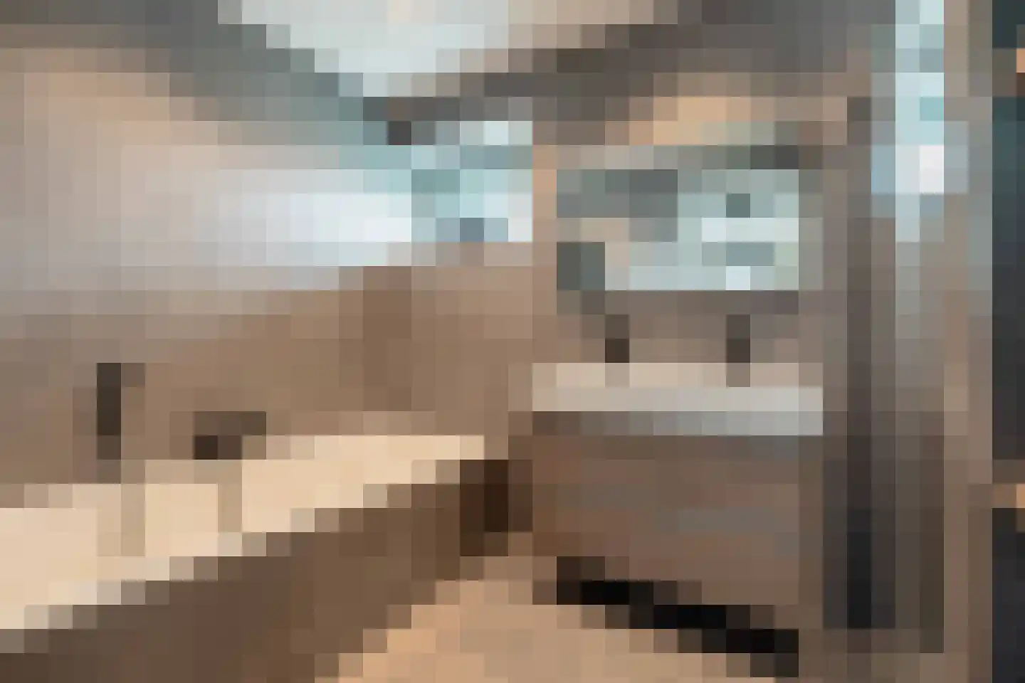 Amandellint 20 Limmen thumbnail 23