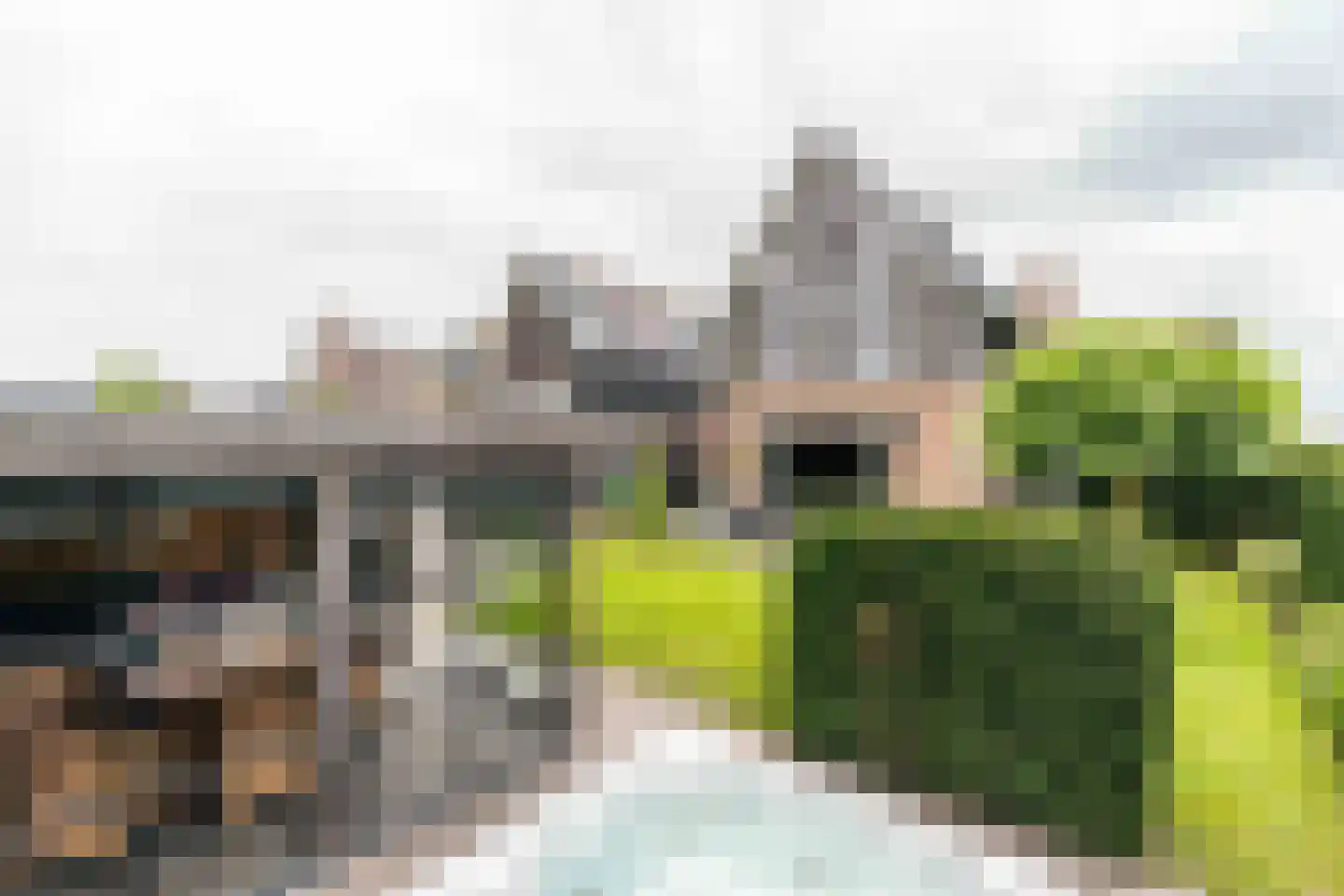 Amandellint 20 Limmen thumbnail 37