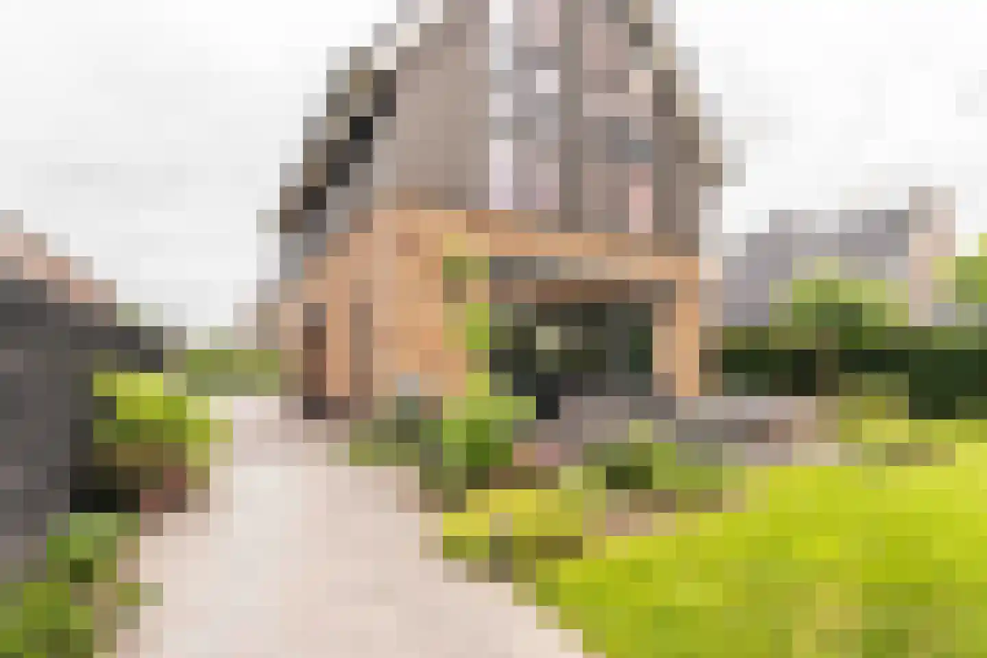 Amandellint 20 Limmen thumbnail 38
