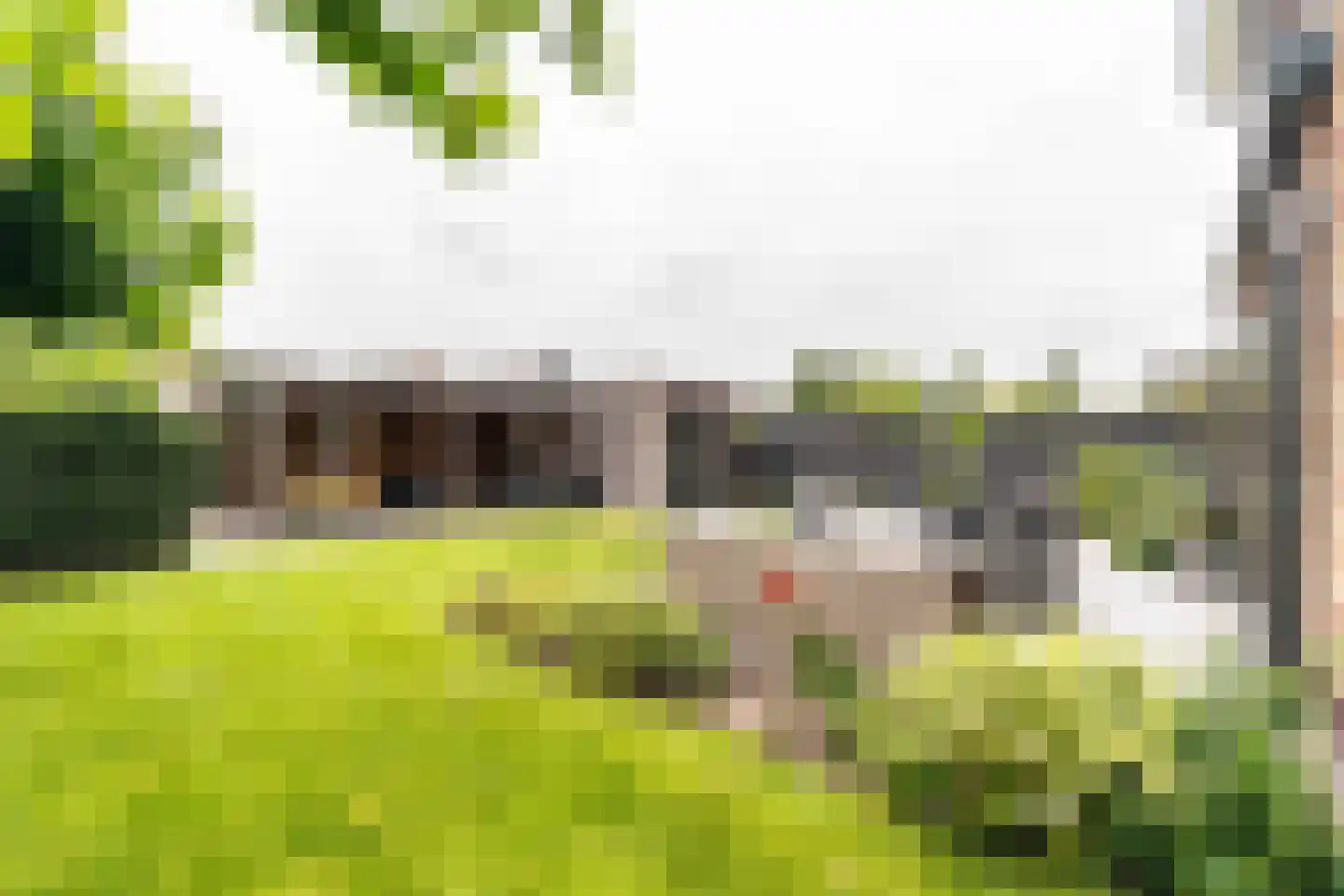 Amandellint 20 Limmen thumbnail 39