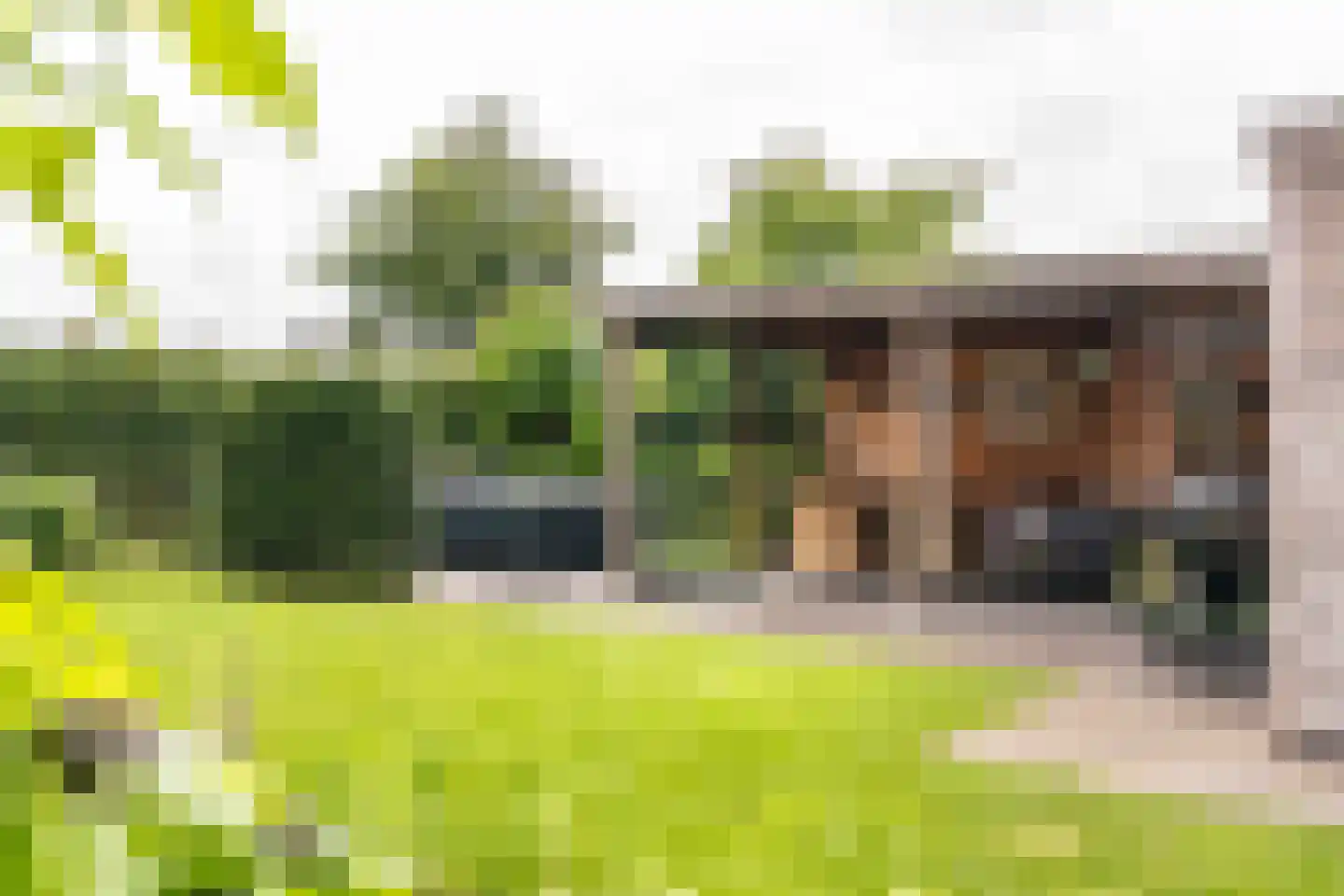 Amandellint 20 Limmen thumbnail 40