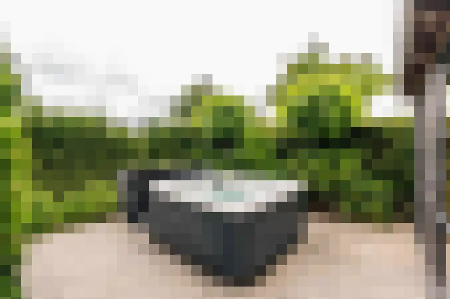 Amandellint 20 Limmen thumbnail 41