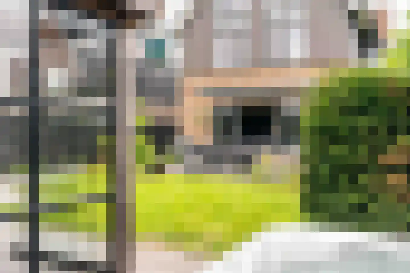Amandellint 20 Limmen thumbnail 42