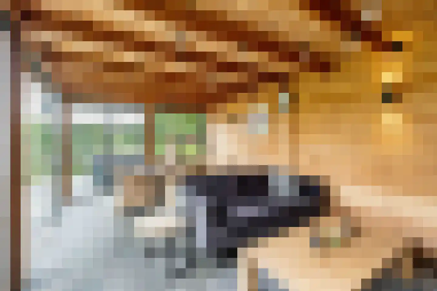Amandellint 20 Limmen thumbnail 43