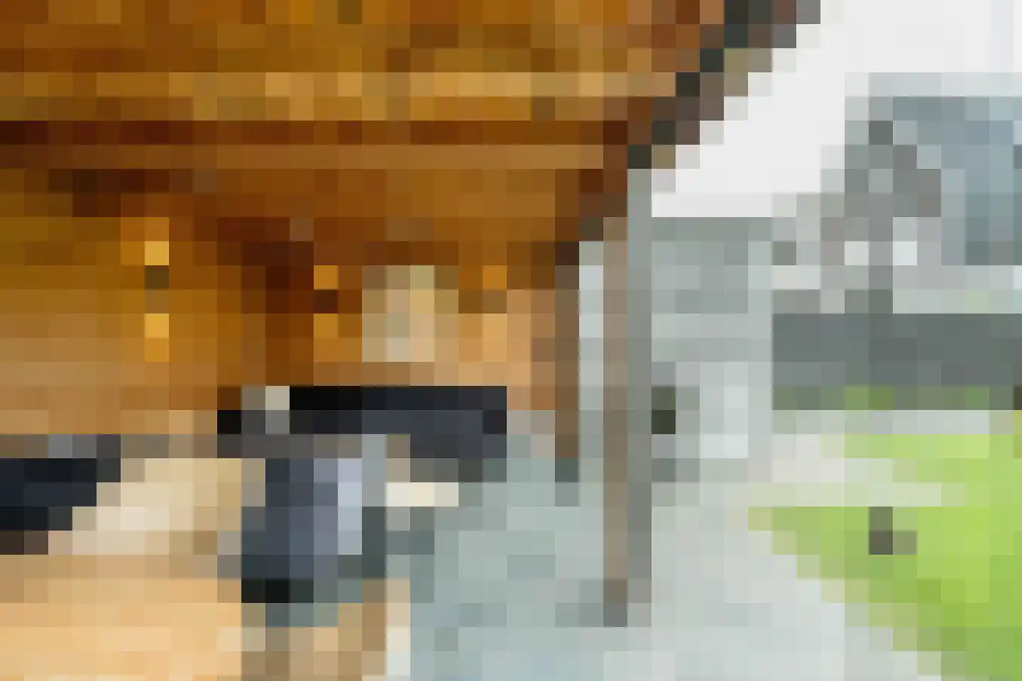 Amandellint 20 Limmen thumbnail 44