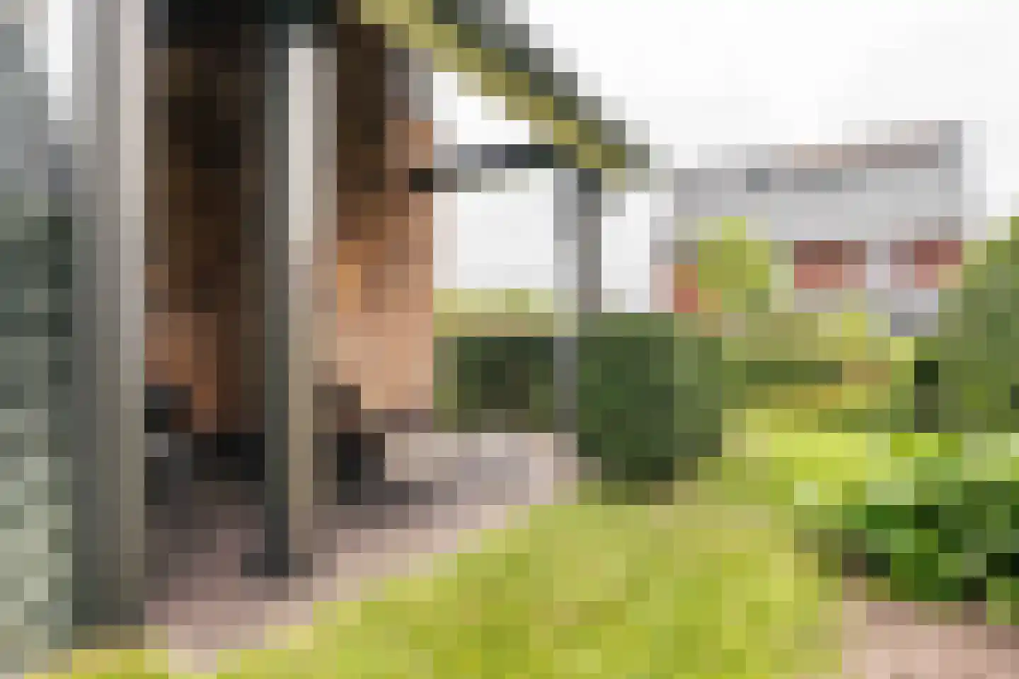 Amandellint 20 Limmen thumbnail 45