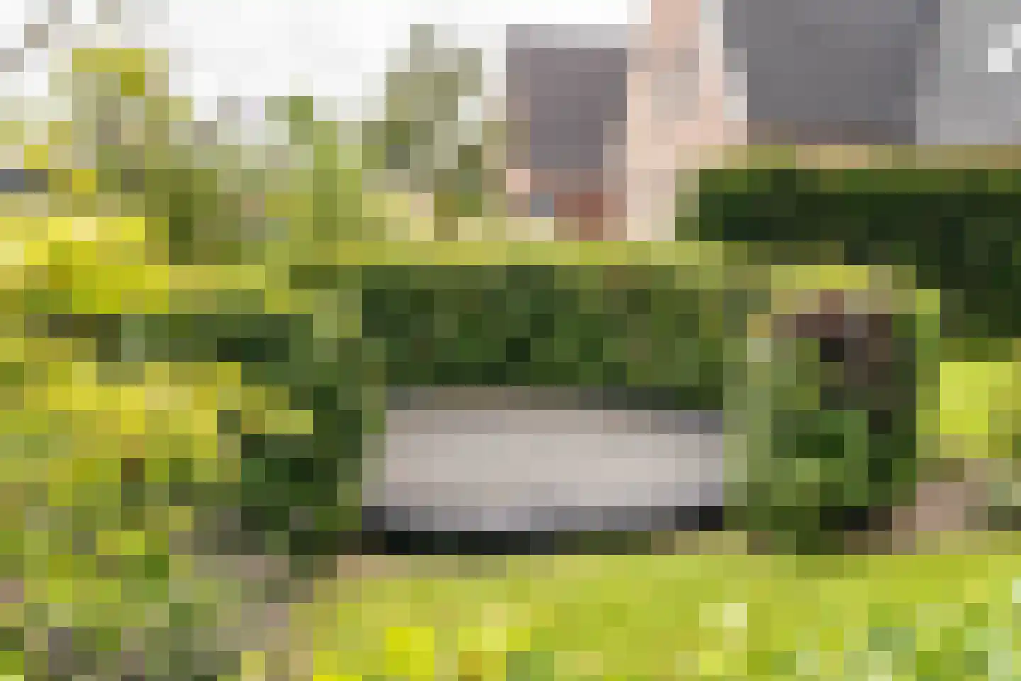 Amandellint 20 Limmen thumbnail 46