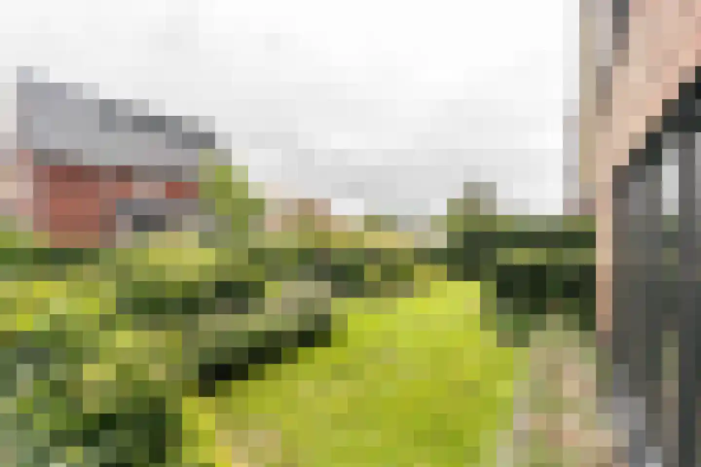 Amandellint 20 Limmen thumbnail 47
