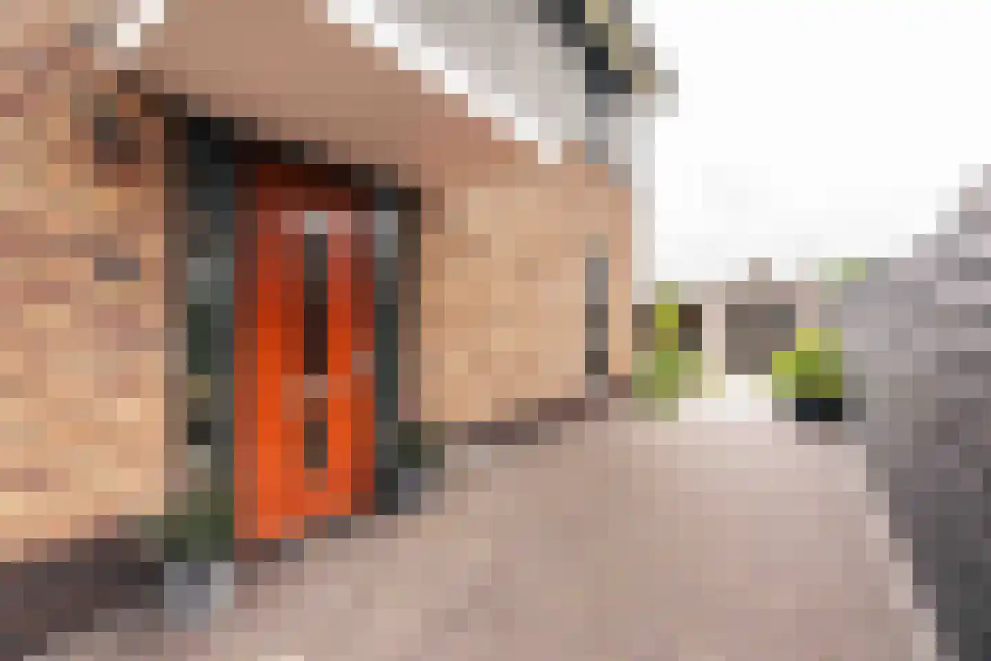 Amandellint 20 Limmen thumbnail 48