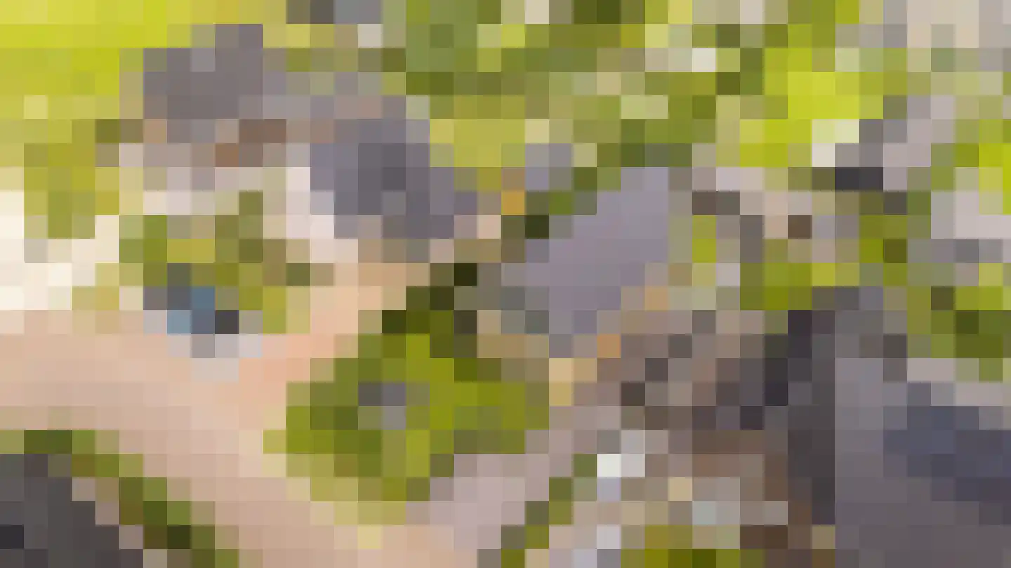 Amandellint 20 Limmen thumbnail 52