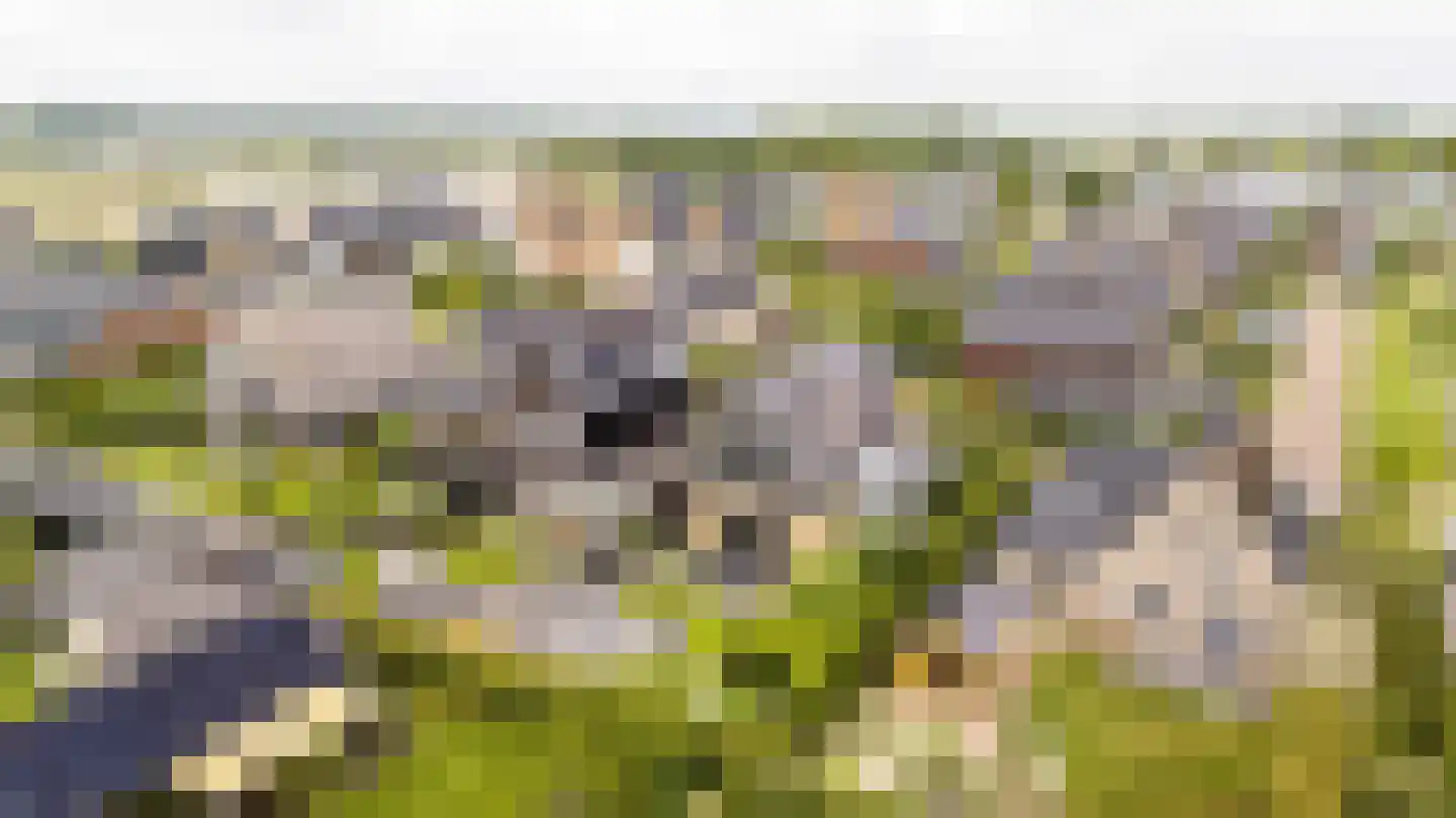 Amandellint 20 Limmen thumbnail 54