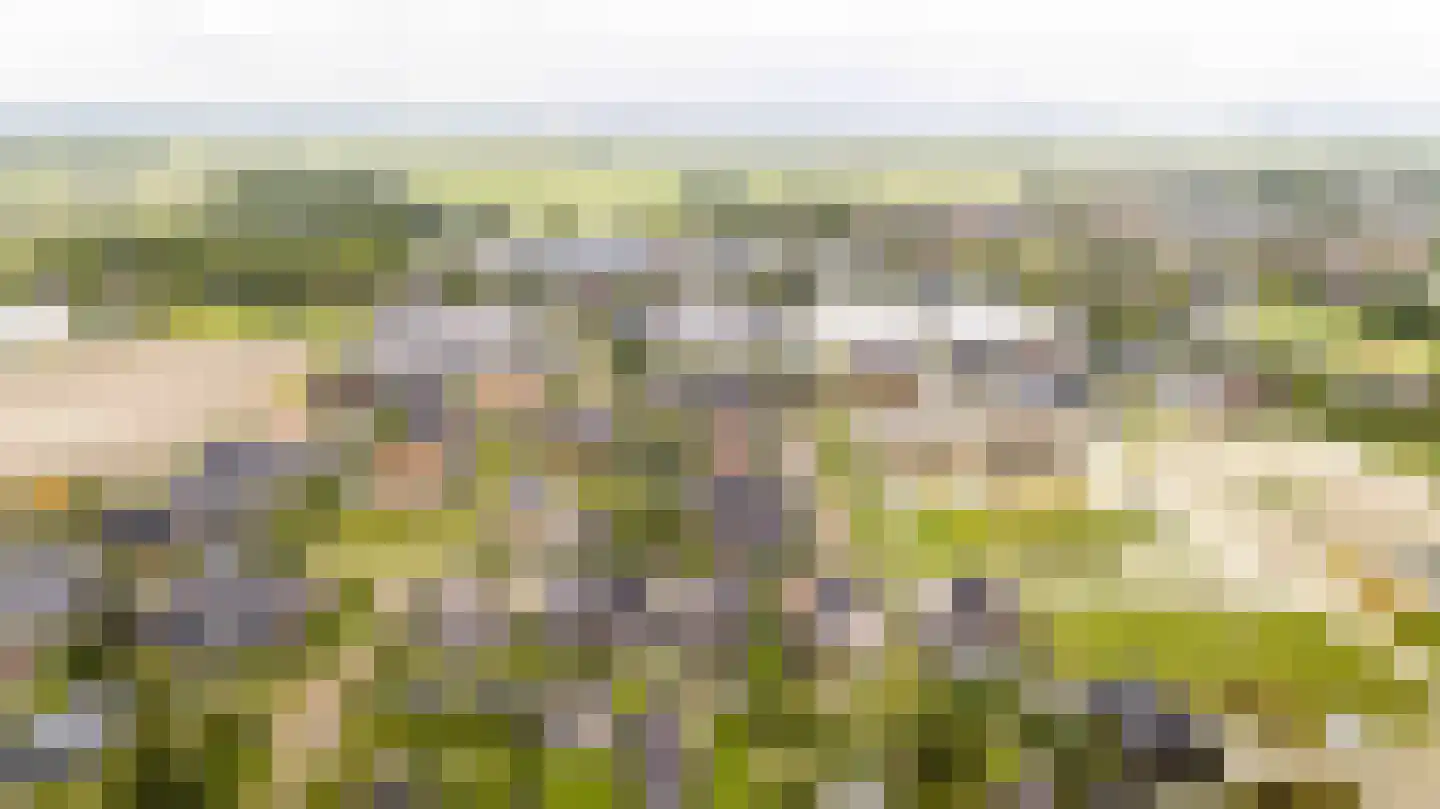 Amandellint 20 Limmen thumbnail 55