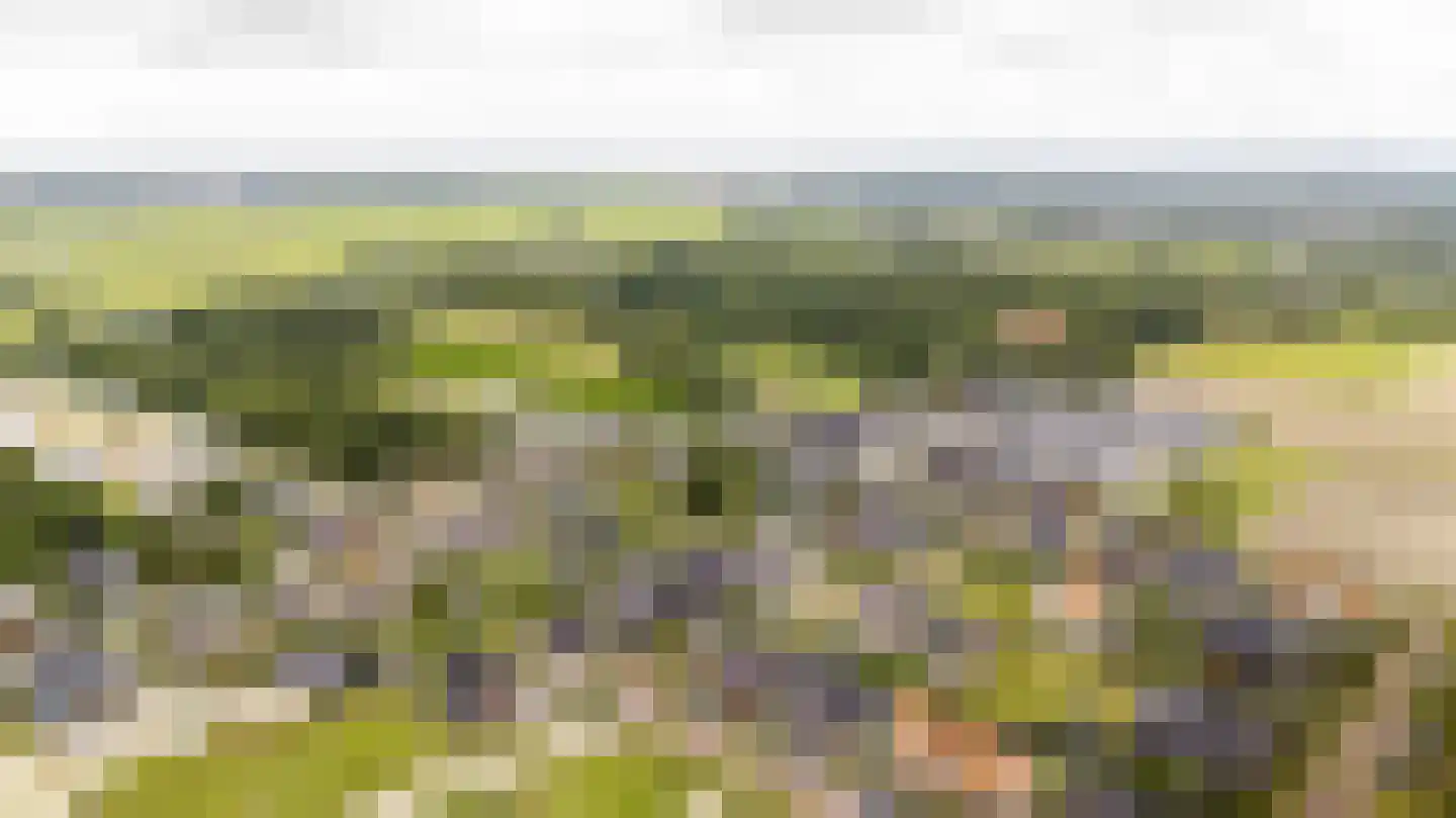 Amandellint 20 Limmen thumbnail 56