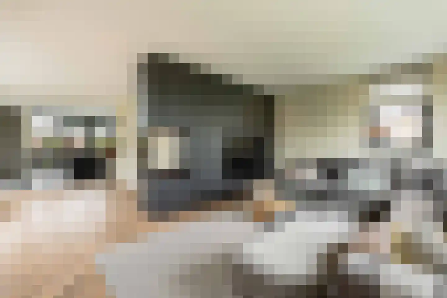 Amandellint 20 Limmen thumbnail 7