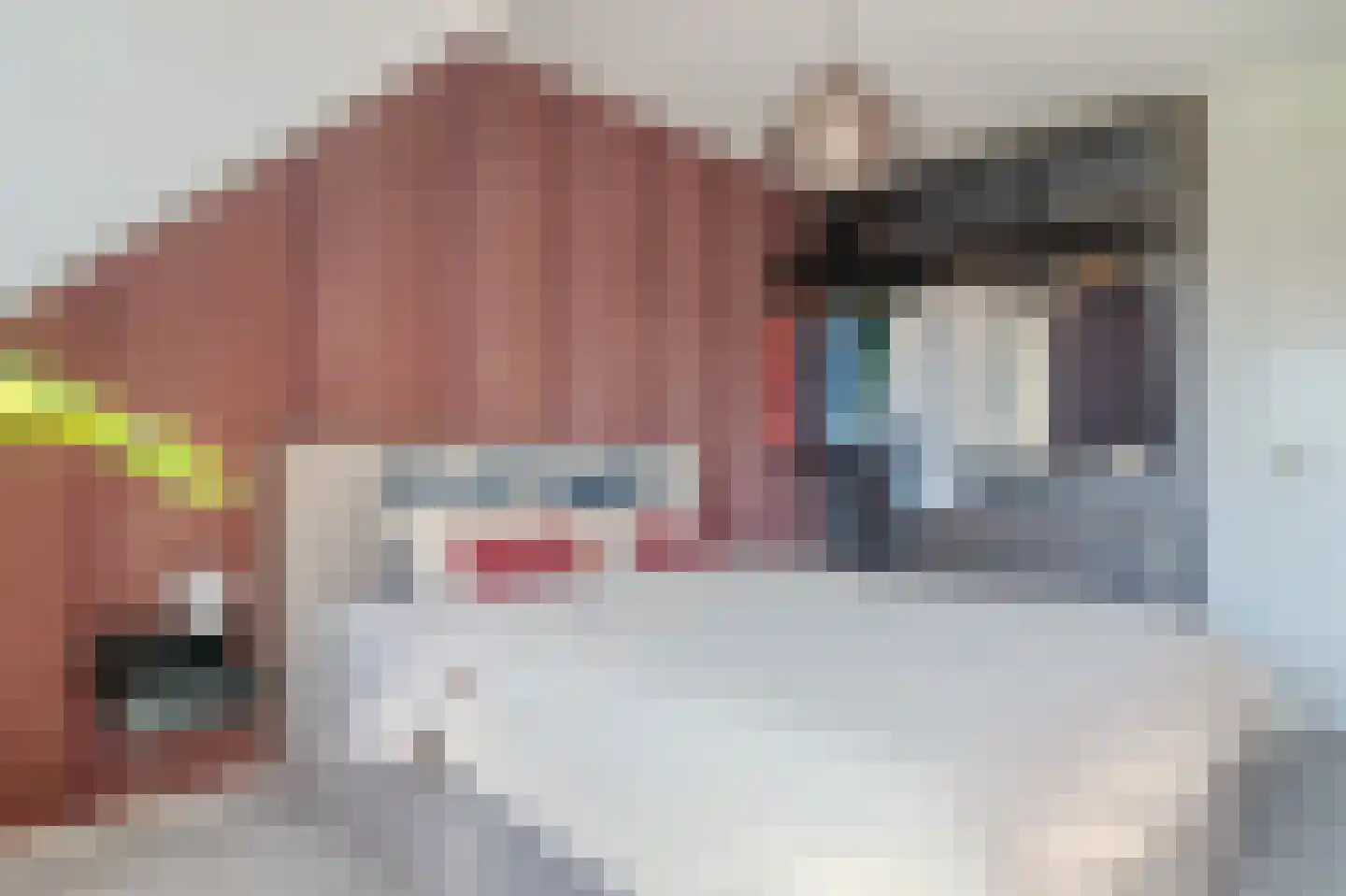 Amandellint 8 Limmen thumbnail 18