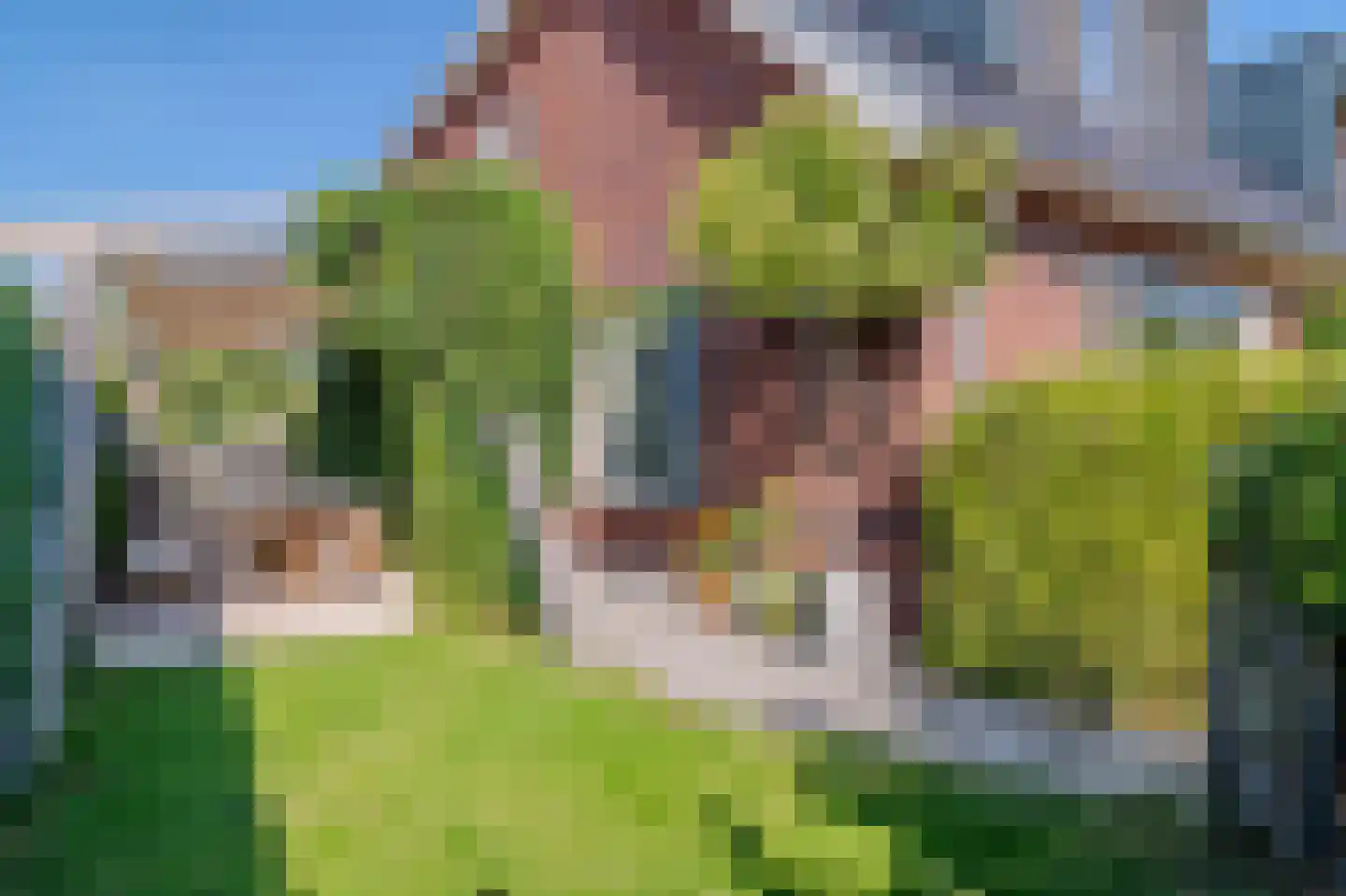 Amandellint 8 Limmen thumbnail 26