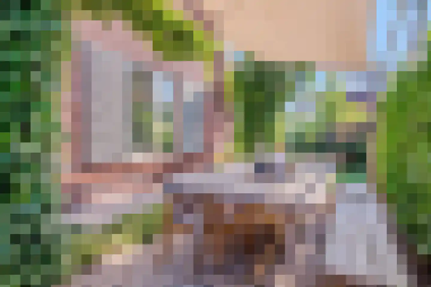 Amandellint 8 Limmen thumbnail 27