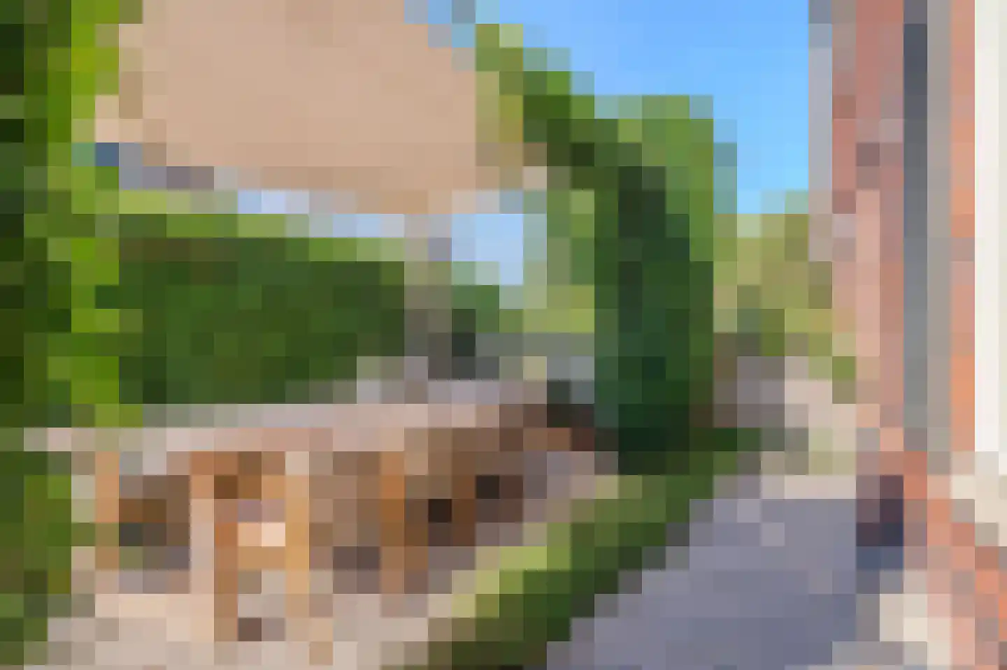 Amandellint 8 Limmen thumbnail 28