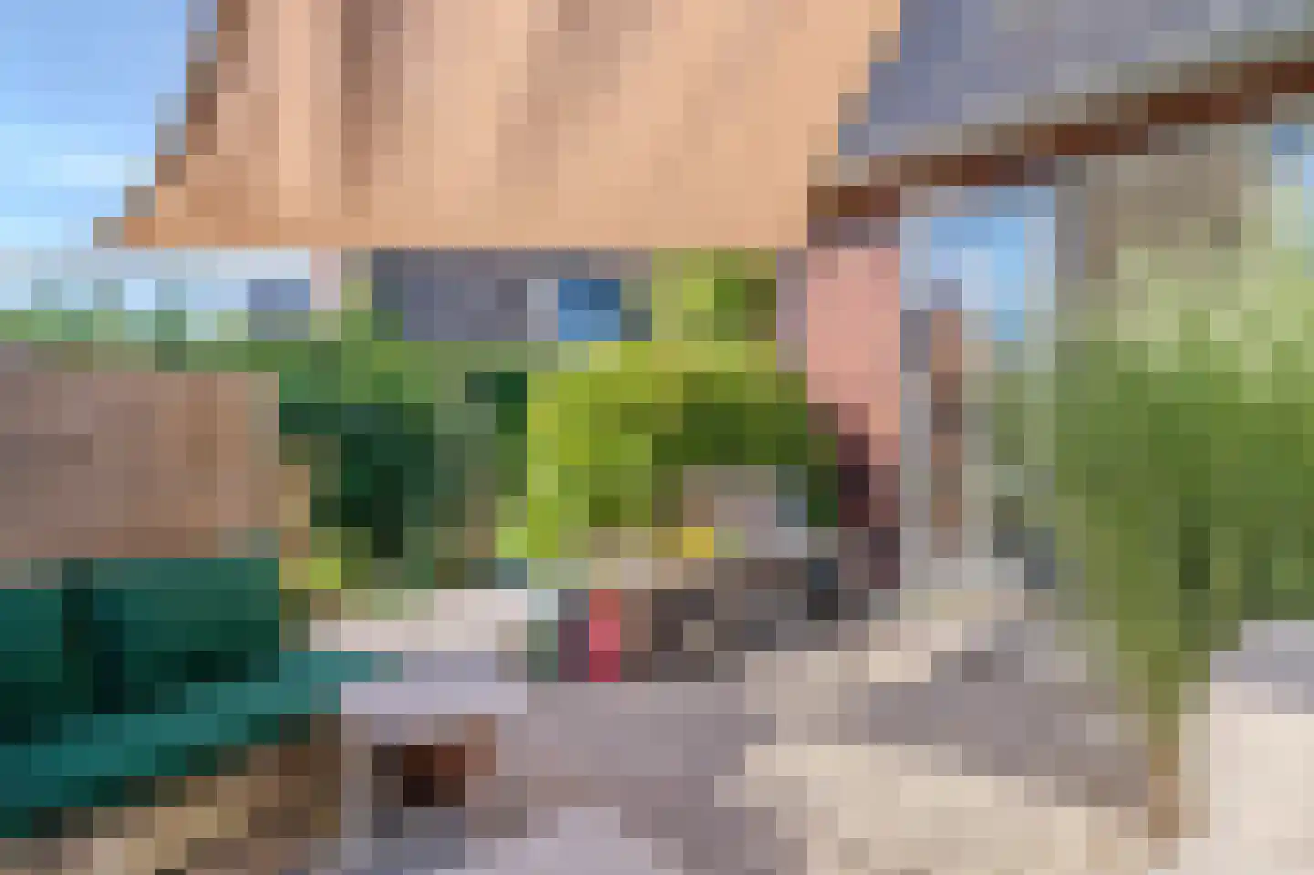 Amandellint 8 Limmen thumbnail 30