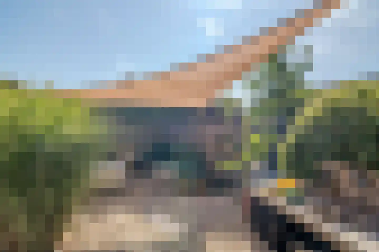 Amandellint 8 Limmen thumbnail 31