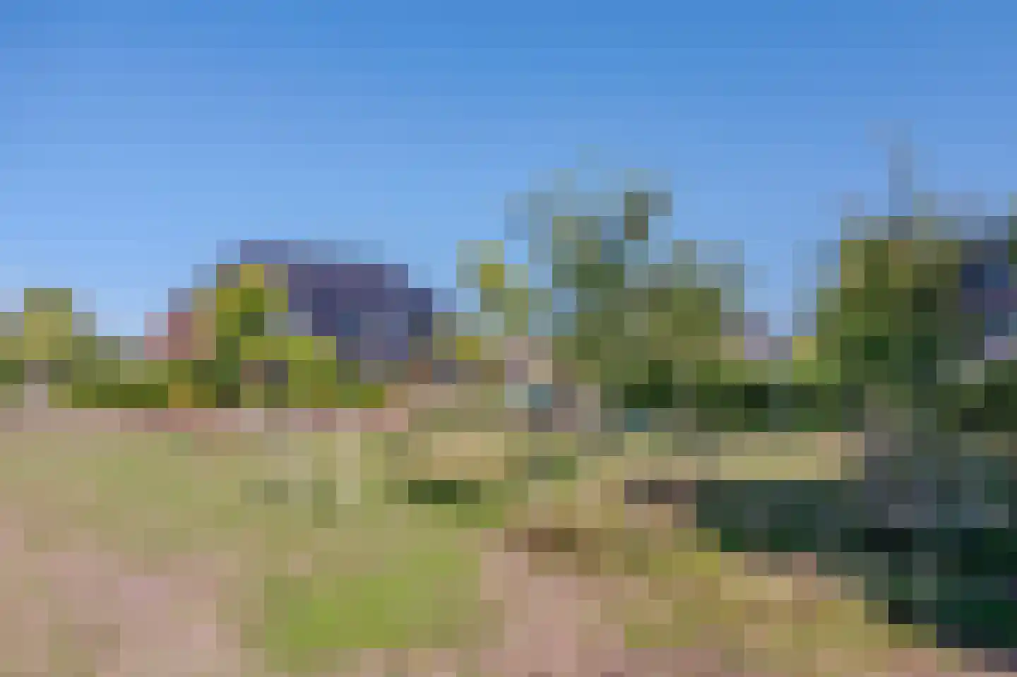 Amandellint 8 Limmen thumbnail 34