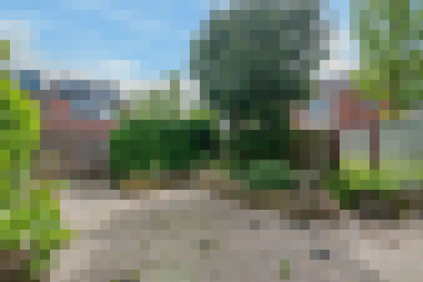 Amandelpad 15 's-Gravenzande thumbnail 6