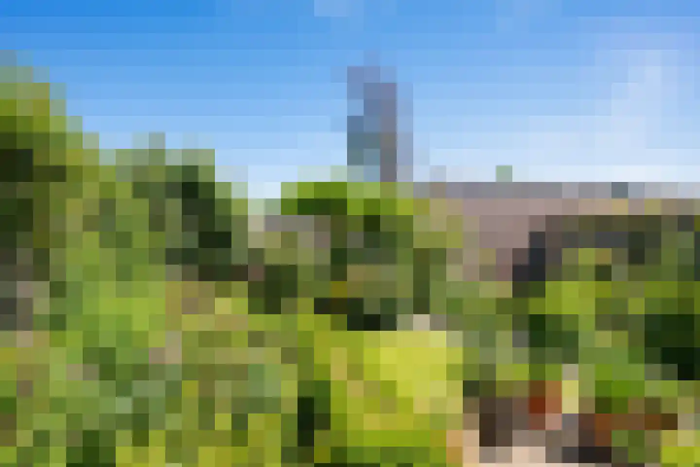 Amandelpad 18 Assen thumbnail 36