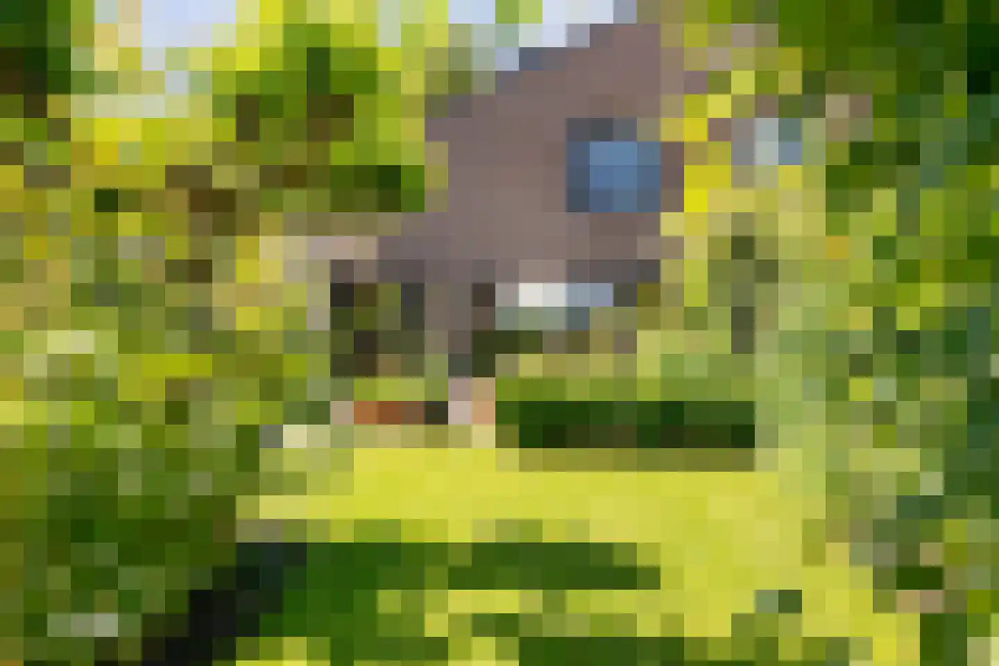 Amandelpad 18 Assen thumbnail 37