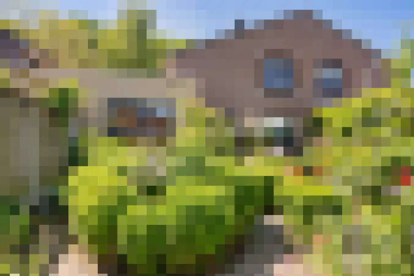 Amandelpad 18 Assen thumbnail 38
