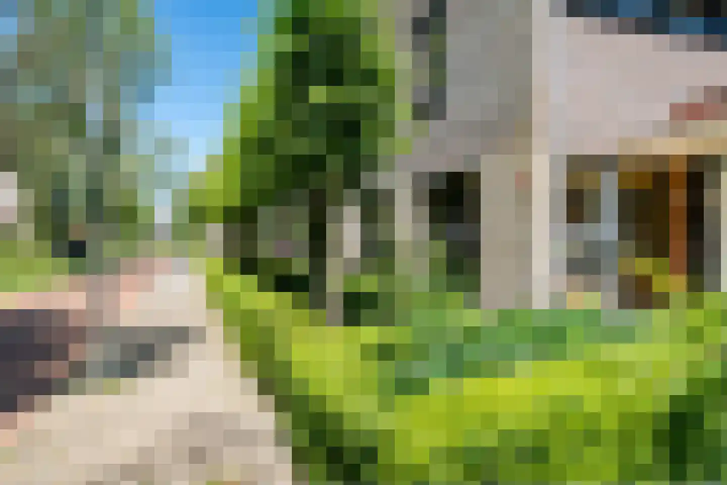 Amandelpad 18 Assen thumbnail 42