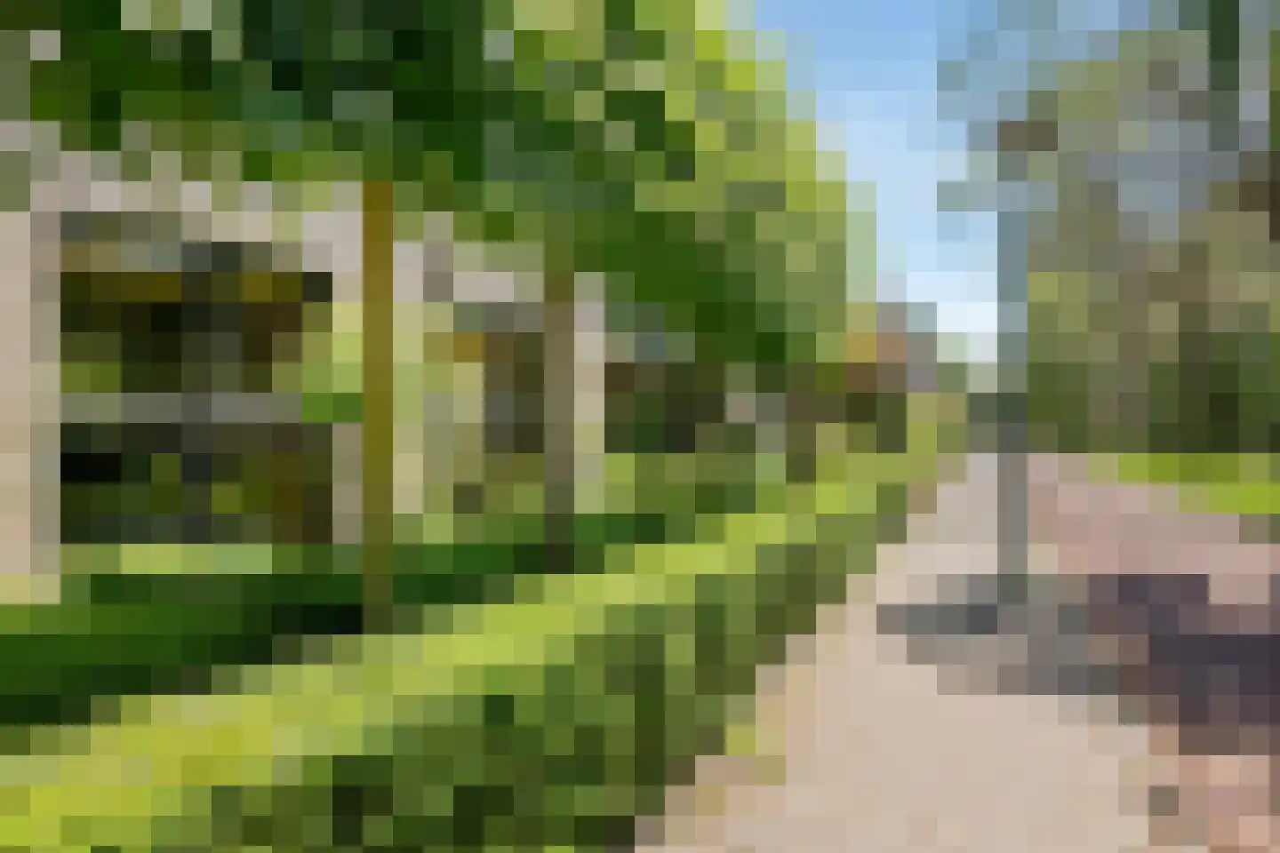 Amandelpad 18 Assen thumbnail 43