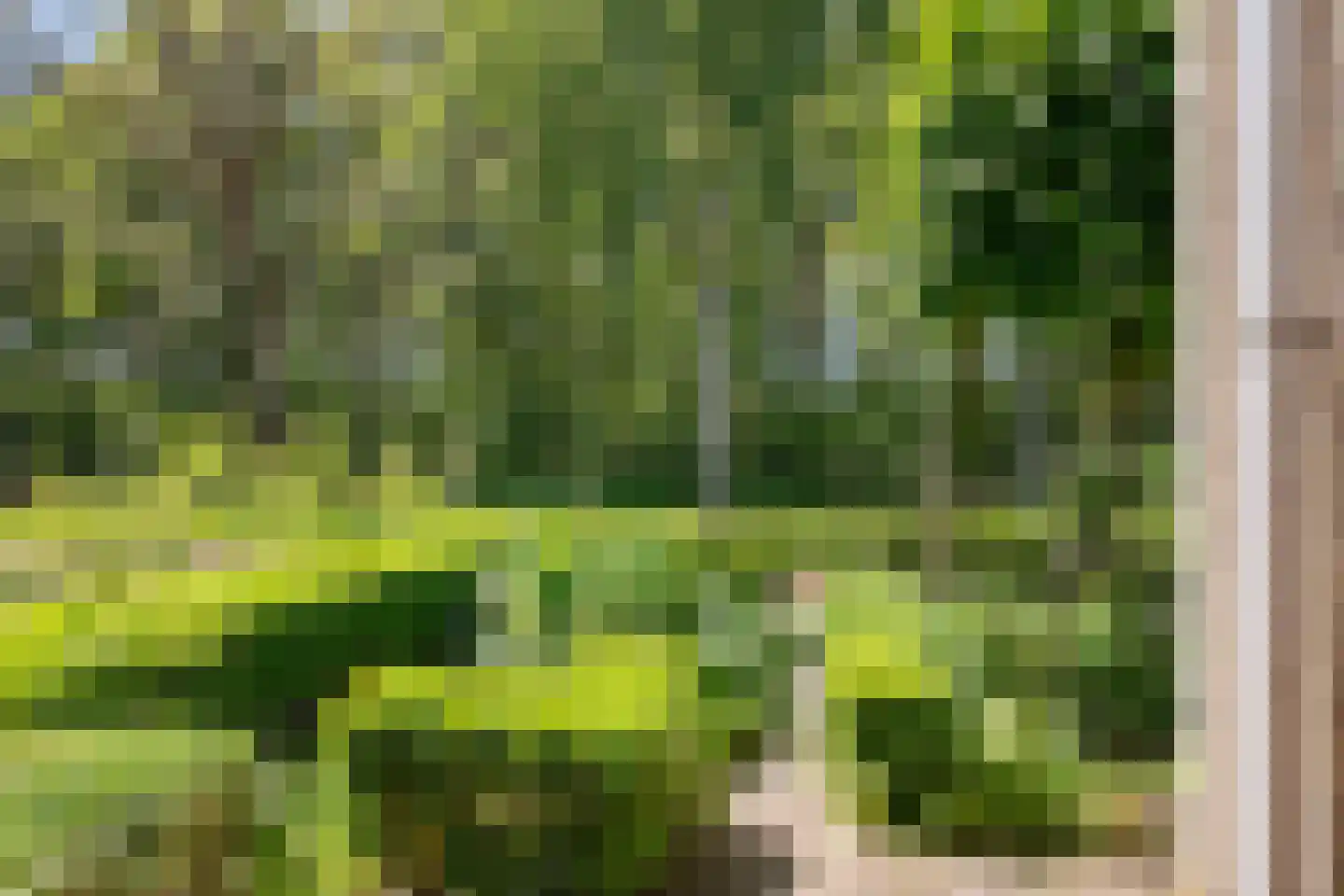 Amandelpad 18 Assen thumbnail 8