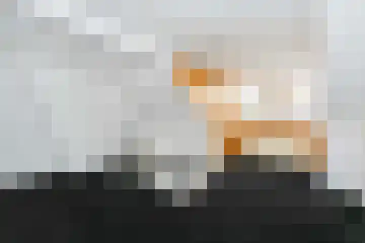 Amandelstraat 45 Utrecht thumbnail 28