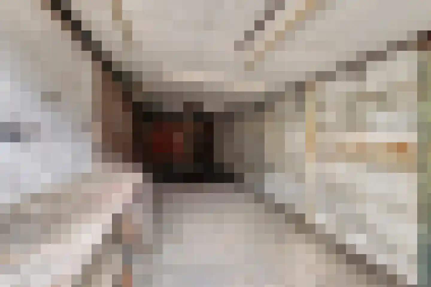 Amandelstraat 69 Utrecht thumbnail 12
